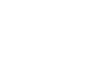 BlueDotConsulting_SavedOutFiles_Main+Logo+White
